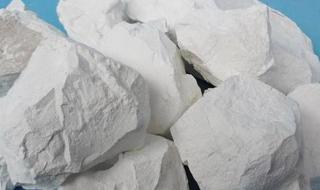 猪气喘病的病原 猪呼吸道病